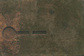 2005/5